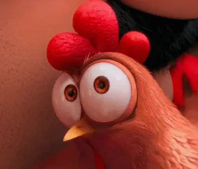 Suspicious chicken